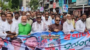 বিএনপিকে যারা শেষ করতে চেয়েছে তারাই ধ্বংস হয়ে গেছে: দুলু