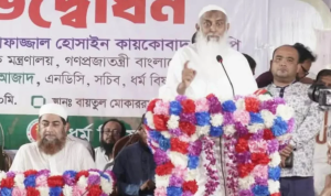 বিগত ১৮ বছরে বিদ্যুৎ-গ্যাস খাত ধ্বংস করা হয়েছে: ধর্মমন্ত্রী