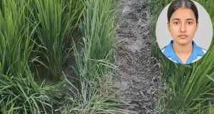 গতিপথ পরিবর্তন করায় তাজমীন অটোরিকশা থেকে লাফ দিয়ে পালিয়ে যাওয়ার চেষ্টা করে